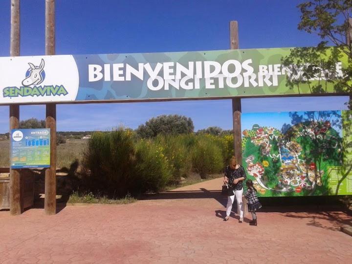 Atico Entero Con Habitacion En Corella Exterior photo